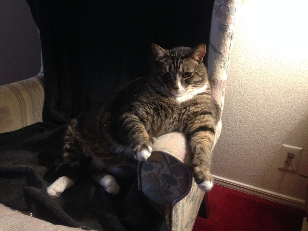 Catasaraus Mega-Thor sitting in his chair waching TV.